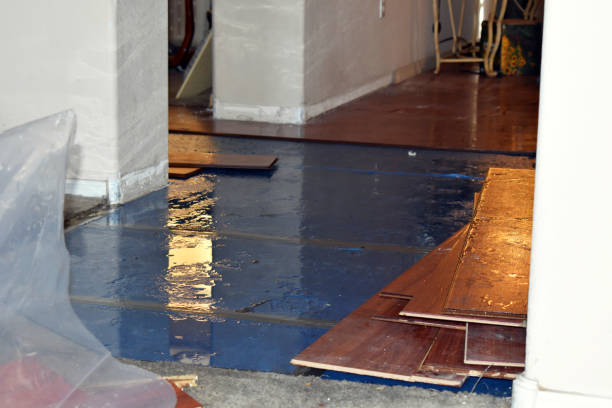 Professional Basement Flood Cleanup technician working in Crane Lake, MN
